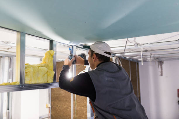 Best Cellulose Insulation in Stockton, MO