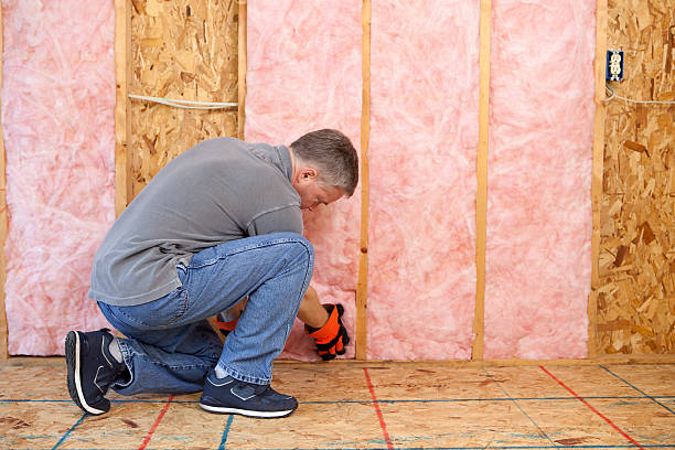 Best Geographic-Specific Insulation Services in Stockton, MO