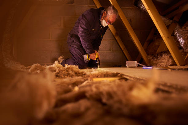 Best Insulation Maintenance and Repair in Stockton, MO