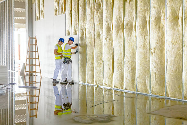 Best Spray Foam Insulation in Stockton, MO